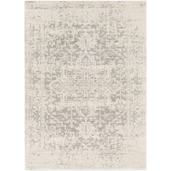 5' x 7' Distressed Oriental Area Rug in Light Grey / Beige